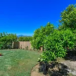 Cubo\'S Finca The Orange Tree
