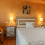 El Celemin De Conil