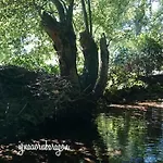 Villa Madruga