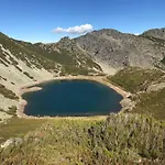 Tía María