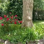 Errotazar Apartamento M