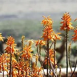 Cortijo El Paraiso