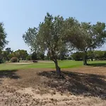Greenbeach