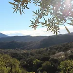 Cortijo Rincon de la Alcudia