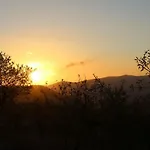 Cortijo Rincon De La Alcudia