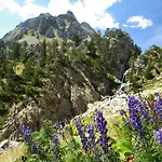 Albergue De Liri
