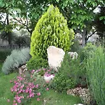 El Rincon de Pepa