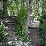 Cova Safaja
