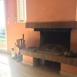 Leku