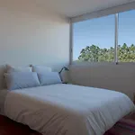 Isla de Arousa