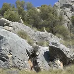 Cueva La Yuca