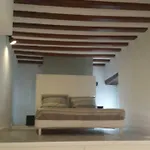The Traveller\'S House Loft En El Centro De Cadiz