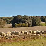 El Capricho De Navares