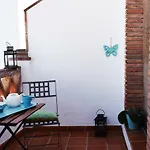 Olivo 15H