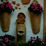 Alojamiento Casa Tipica De Cordoba