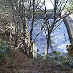 Sotillo de la Adrada- Vilajubi