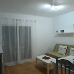 apartamento céntrico lobos