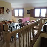 Calao De Cuatro Copas