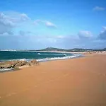 Os Salguieiros
