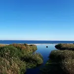 El susurro del Mar