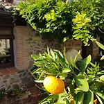 El Atalanto