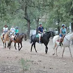 Ariosa