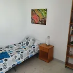 Piso Jmam Centro