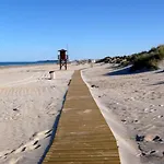 Oasis En La Playa