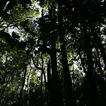 El Sabinar