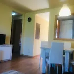 Apartament Vall D\'Ager II