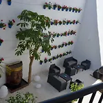 Apartamentos Casa-Patio Las Palmeras