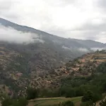 Cortijo Los Castanos