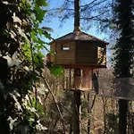Cabanes Als Arbres