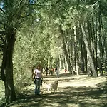 Casa Rural Canon De Rio Lobos II