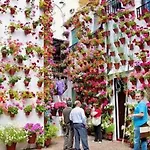 Apartamento Con Encanto En Cordoba