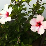 Bungalow La Datura
