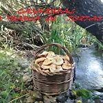 La María de Tortas
