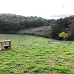 Cercado Forero