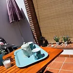 Olivo 15H