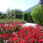 Amalurra Granada