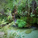 El Jabali Contento