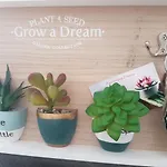Apartment Pitaya