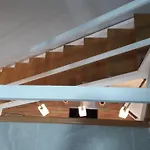 Duplex Daises