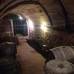 Calao De Cuatro Copas