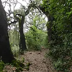 La Casa De Gaia