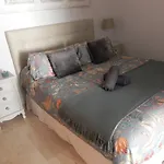 Brand New Apartment