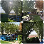 Camping Fuente De Piedra