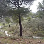 Aguila Imperial Rural Loft