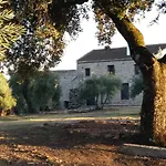 Viña Las Olivas