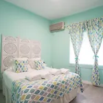 Apartamentos Coso De San Albin